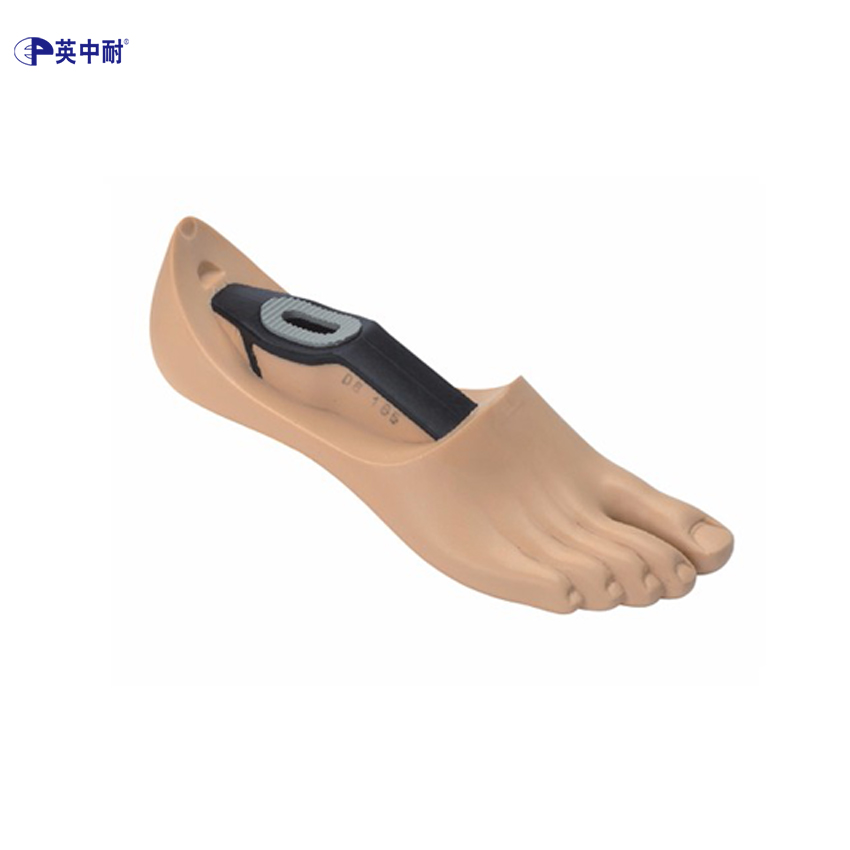 英中耐经典型万向踝脚