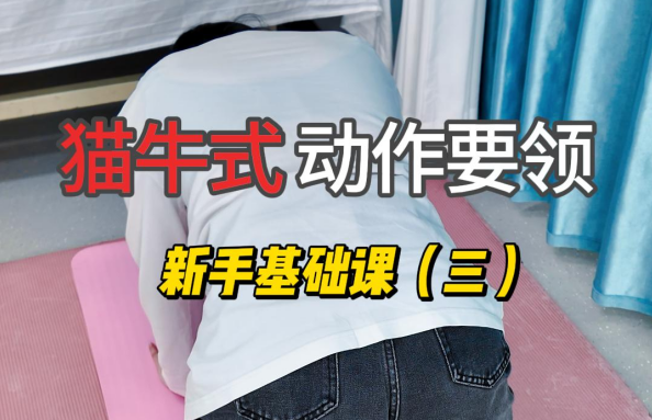 脊柱侧弯孩子居家训练基础课-猫牛式