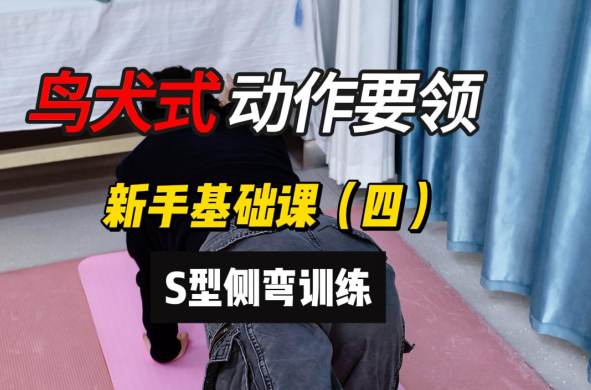 脊柱侧弯孩子居家训练基础课-鸟犬式